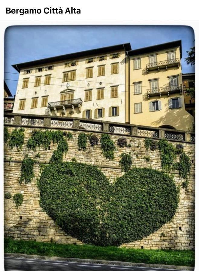 Smart Silver Apartment Central Bergamo Eksteriør billede